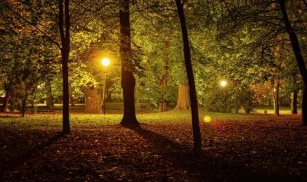 Городской парк Вены