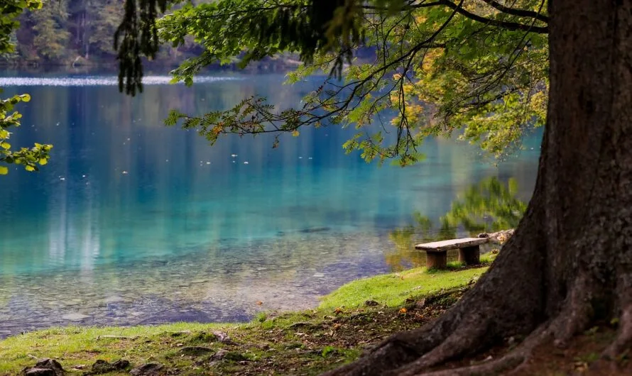 Национальный парк Доньяу-Ауэн — природный рай вдоль Дуная