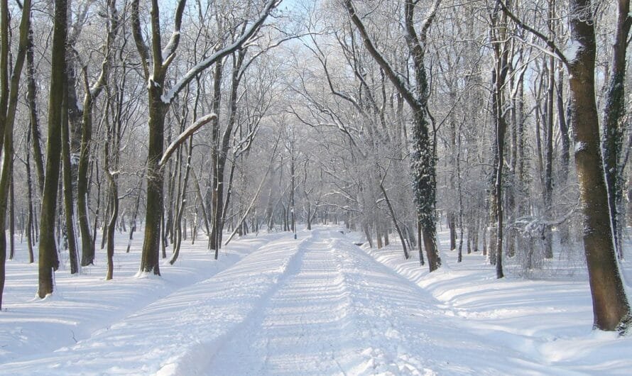 Словакия зимой: волшебство снежных гор и теплых термальных источников