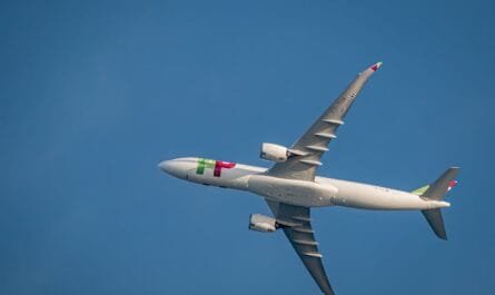 португалия как добраться