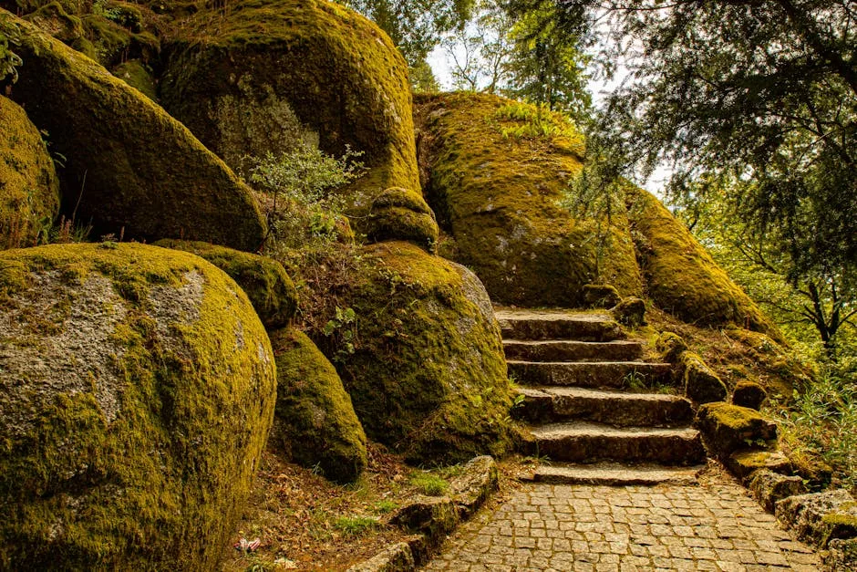 Explore a serene mossy stone pathway surrounded by lush greenery in Guimarães, Portugal.
