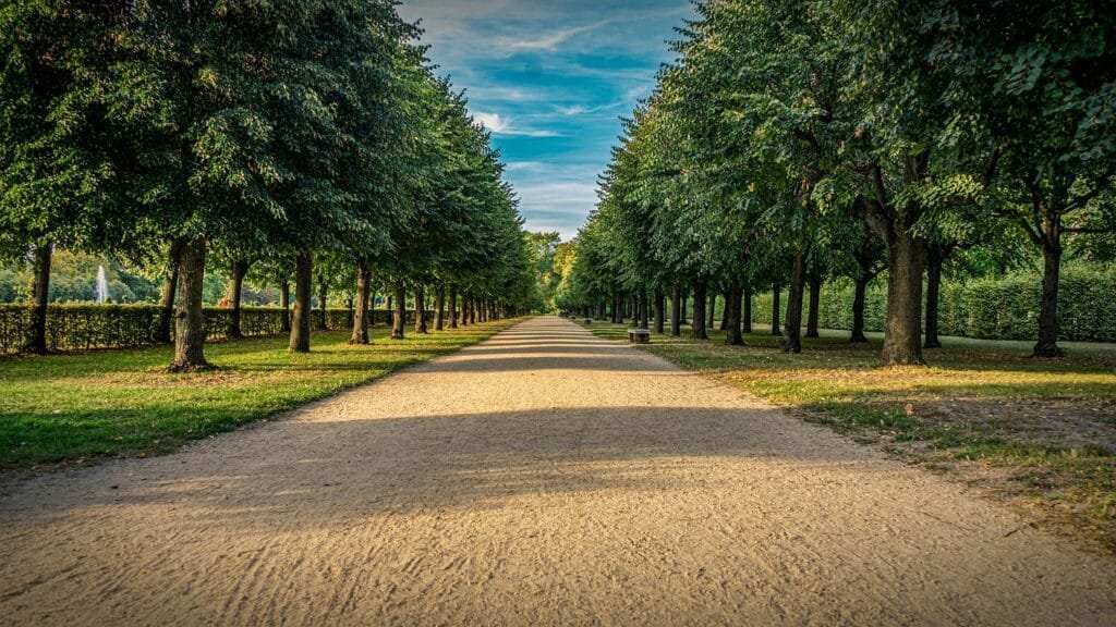 castle park, path, avenue, trees, park, berlin, palace garden, tree lined avenue, nature, investment, garden, green, landscape, heaven, berlin, berlin, berlin, investment, investment, investment, investment, investment
