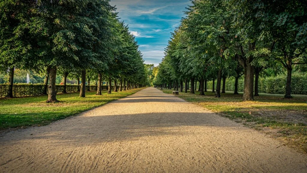 castle park, path, avenue, trees, park, berlin, palace garden, tree lined avenue, nature, investment, garden, green, landscape, heaven, berlin, berlin, berlin, investment, investment, investment, investment, investment