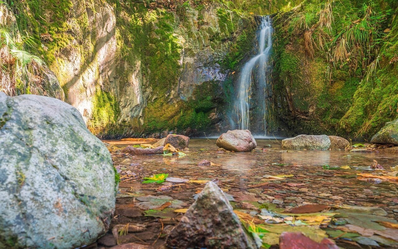 отдых в Шварцвальде