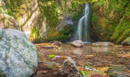 отдых в Шварцвальде